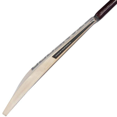 SF 10000 Cricket Bat