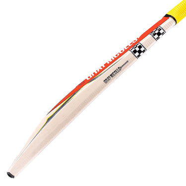 Gray-Nicolls Havoc HB317 Warrior Junior Cricket Bat