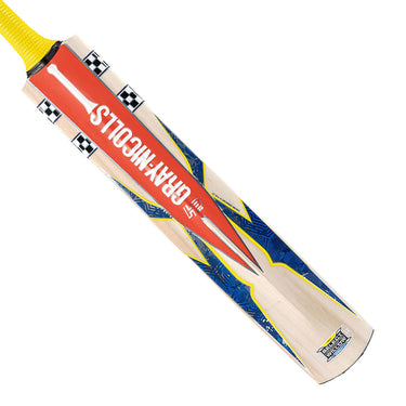 Gray-Nicolls Havoc HB317 Warrior Cricket Bat