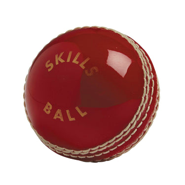 Gunn and Moore Skills Cricket Ball