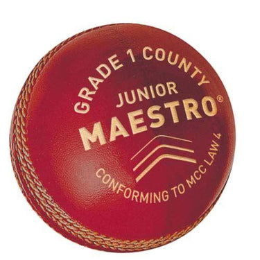 Gunn & Moore Maestro Cricket Ball 