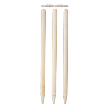Test Cricket Stumps