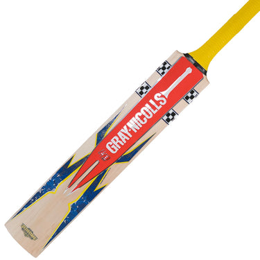 Gray-Nicolls Havoc 317 Custom Made Cricket Bat