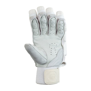 Hunts County Platinum Cricket Batting Gloves