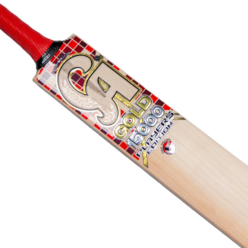 CA Pro 15000 Junior Cricket Bat