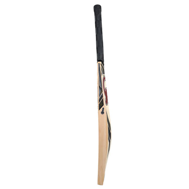 CA Gold 18000 Cricket Bat