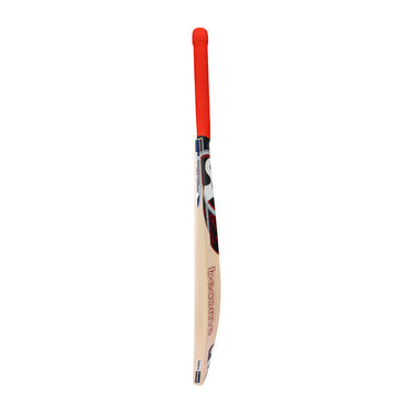 SG KLR Spark Junior Cricket Bat