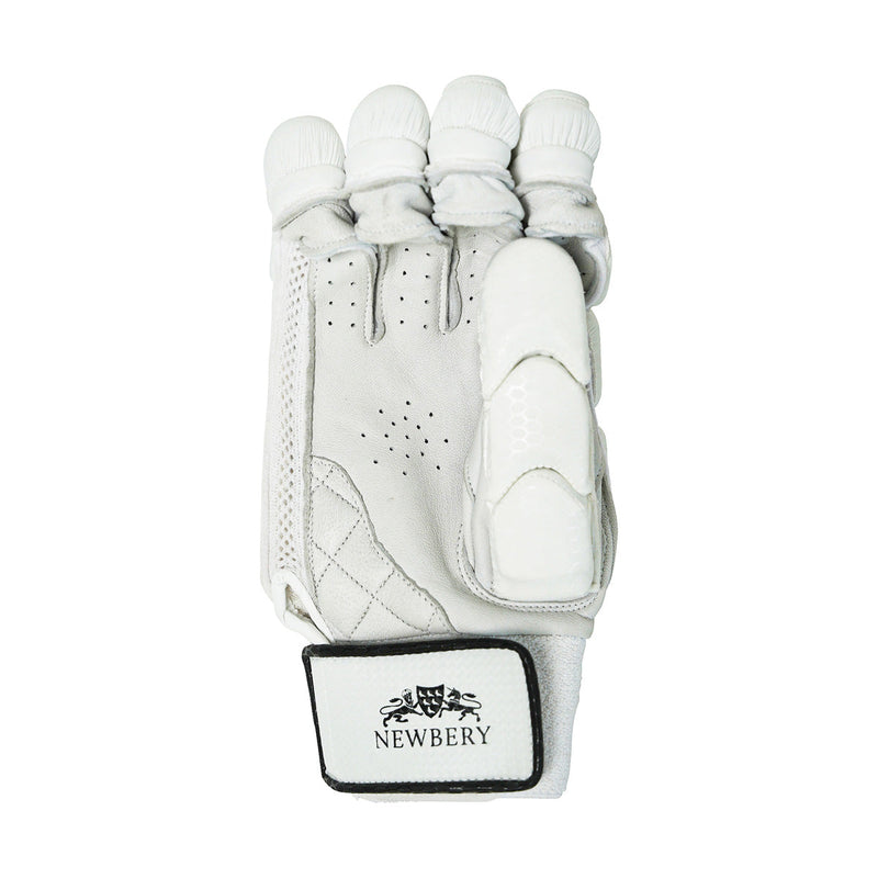 Newbery Player Cricket Batting Gloves