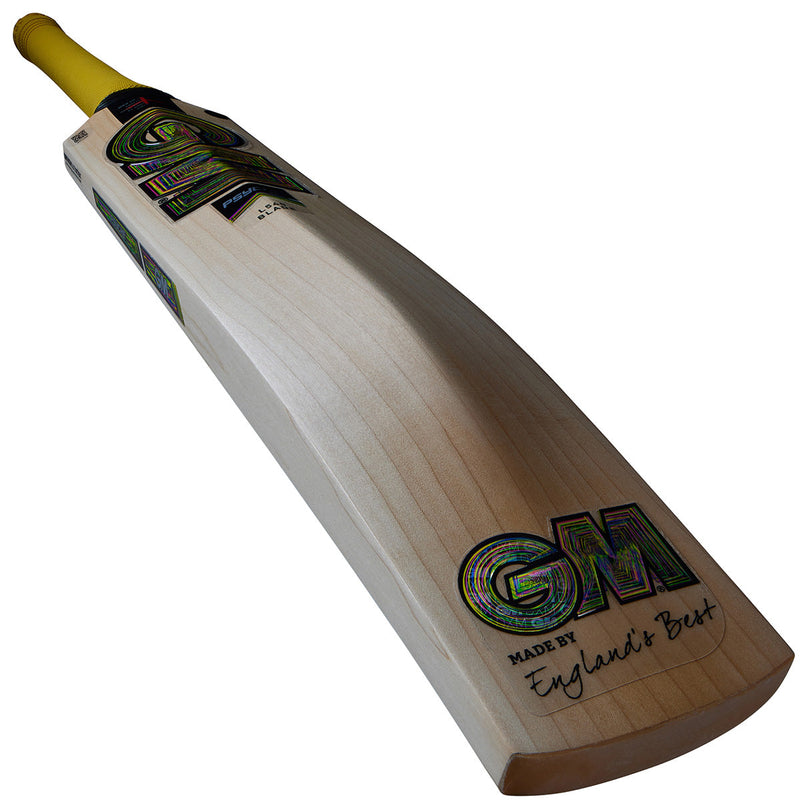 Gunn & Moore Psyche DXM Original Cricket Bat