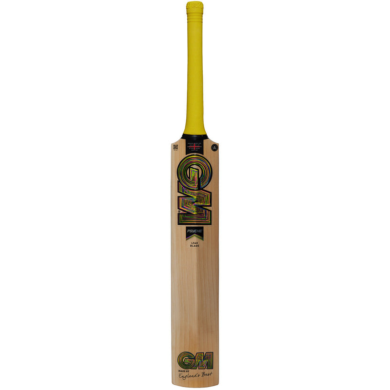 Gunn & Moore Psyche DXM 606 Delta Cricket Bat