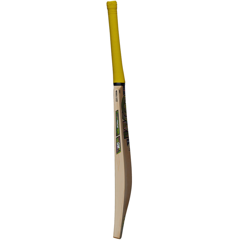 Gunn & Moore Psyche DXM 606 Delta Cricket Bat