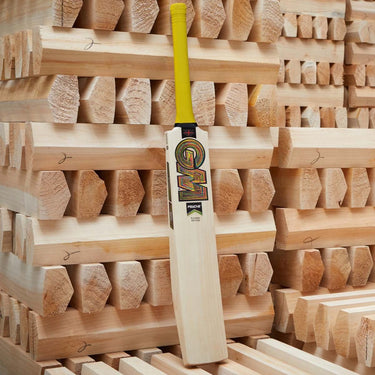 Gunn & Moore Ben Duckett Players Edition Cricket Bat - 2025
