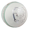 Gray-Nicolls Crest Legend Cricket Ball Main