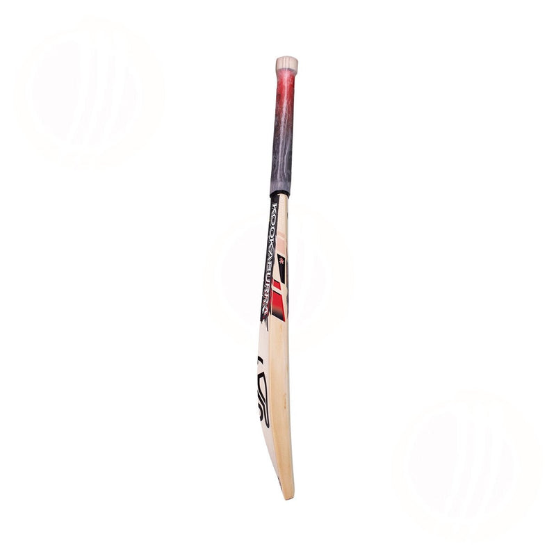 Kookaburra Beast Pro Junior Cricket Bat