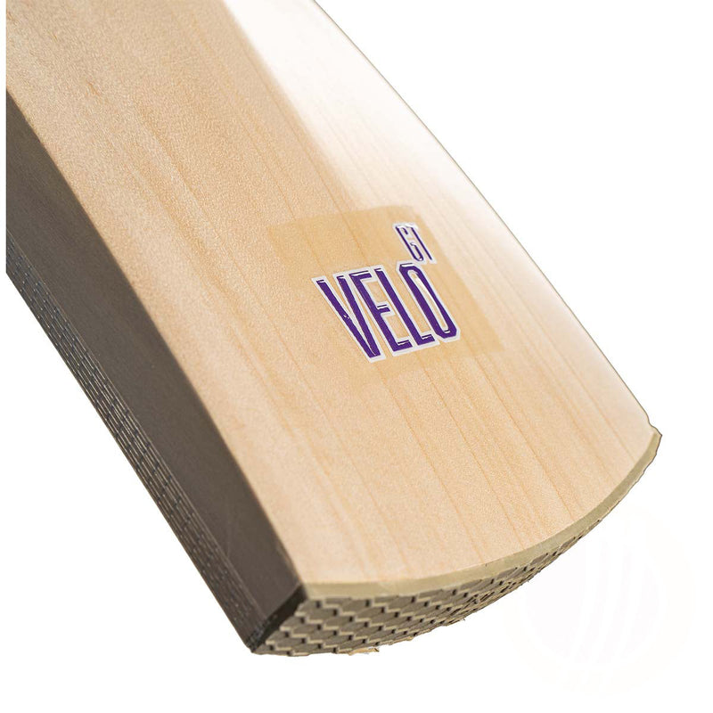 Newbery Velo GT SPS Cricket Bat